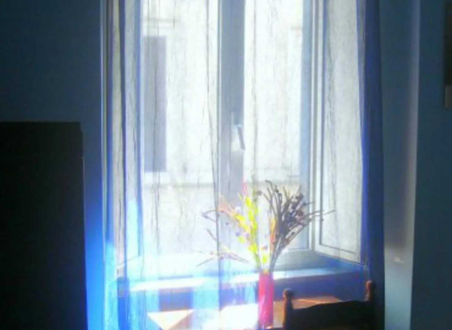 B&B Cappellini Roma Bed & Breakfast